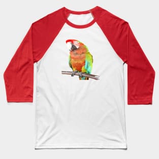 Stunning Harlequin Macaw On A Perch Vector Art Baseball T-Shirt